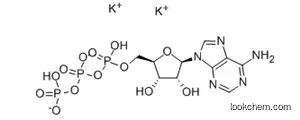 Molecular Structure of 42373-41-1 (ADENOSINE 5'-TRIPHOSPHATE POTASSIUM SALT)